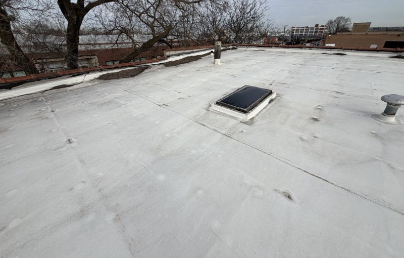 File:Ponding-water-and-debris-on-a-flat-roof-chicago-b2-221.jpg