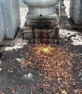 Tear-off debris during a roof replacement in Tampa, FL