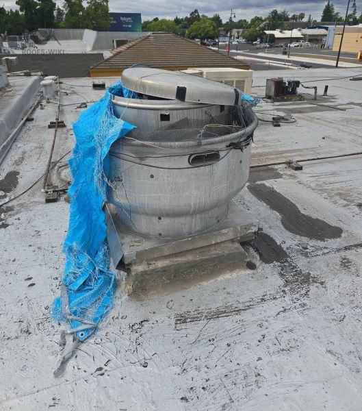 File:Emergency-blue-tarp-on-a-damaged-roof-citrus-heights-109.jpg
