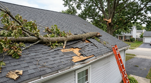 Large tree limb fallen onto a residential roof causing visible structural damage to shingles and decking