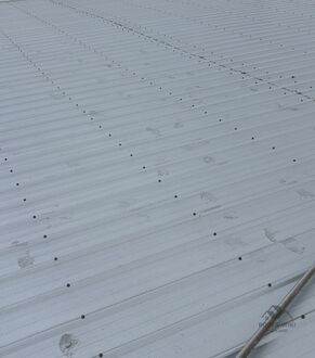 Roofing underlayment on a roof deck in Tampa, FL