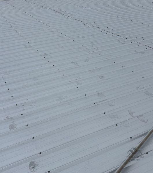 File:Roofing-underlayment-on-a-roof-deck-tampa-170.jpg