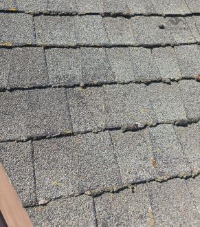 Architectural asphalt shingle texture in Citrus Heights, CA