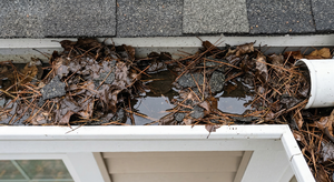 Rain gutter packed with leaves, twigs, and decomposed debris blocking water flow