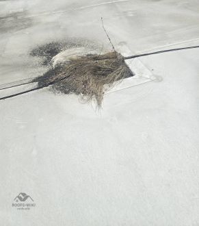 Patch repair on a membrane roof in Sacramento, CA
