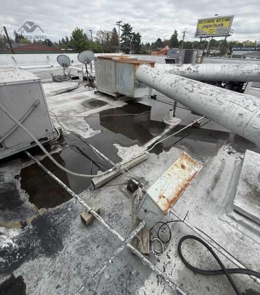 File:Vent-pipe-through-a-flat-roof-membrane-portland-b2-062.jpg